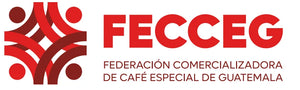 Logo of Fecceg