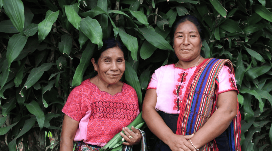 From Farm to Cup: How Our Organic Coffee Supports Guatemalan Communities