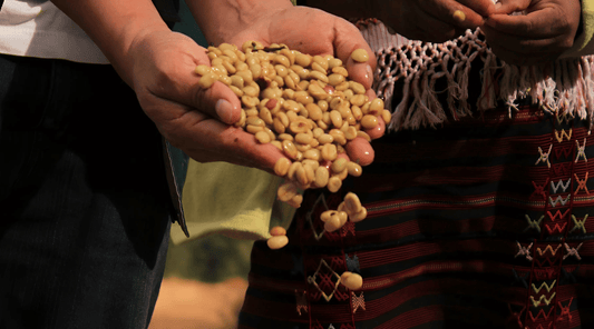 What Does Fair Trade Really Mean in Coffee?