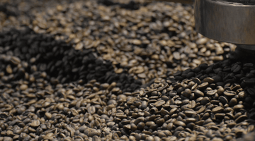 Close-up of dark roasted and medium roasted coffee beans on a surface, highlighting their rich colors and textures.