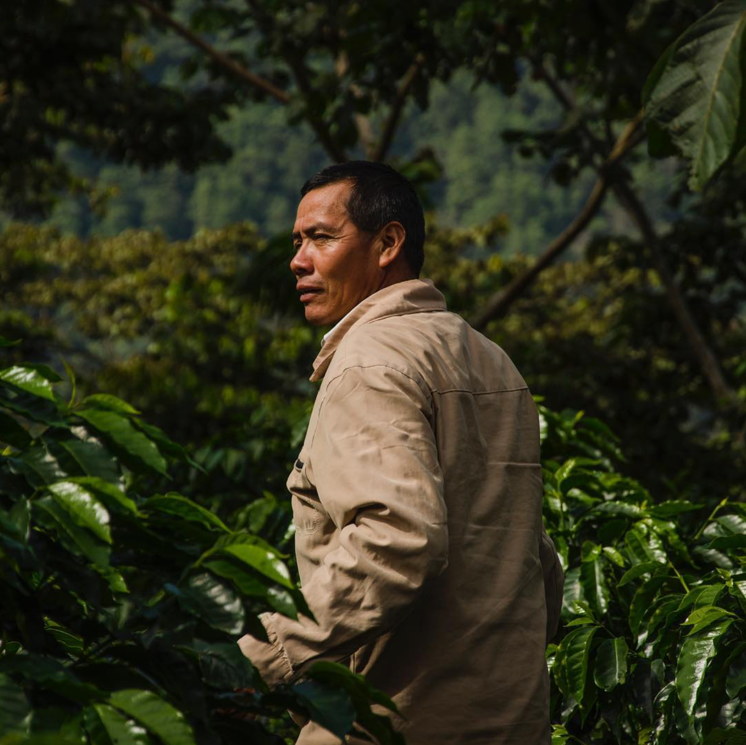 Coffee producer, Kishe Organics